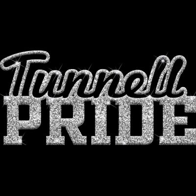 GLT59 SILVER GLITTER Thumbnail